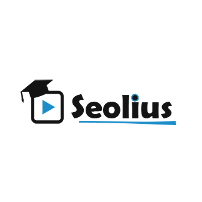 logo-seolius-university